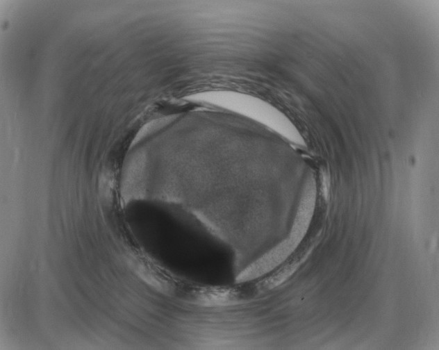X0000085080235200704021445