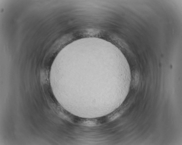 X0000085080236200704021445