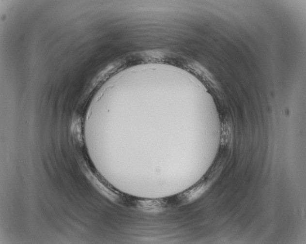 X0000085080238200704021445