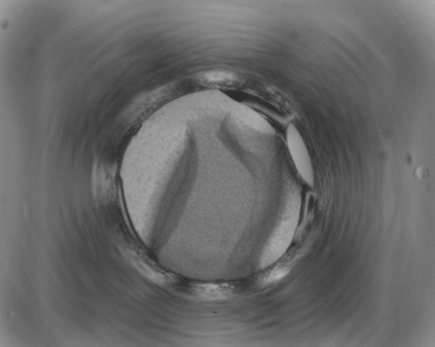 X0000085080239200704021445