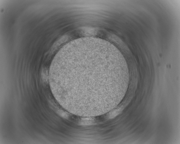 X0000085080240200704021445