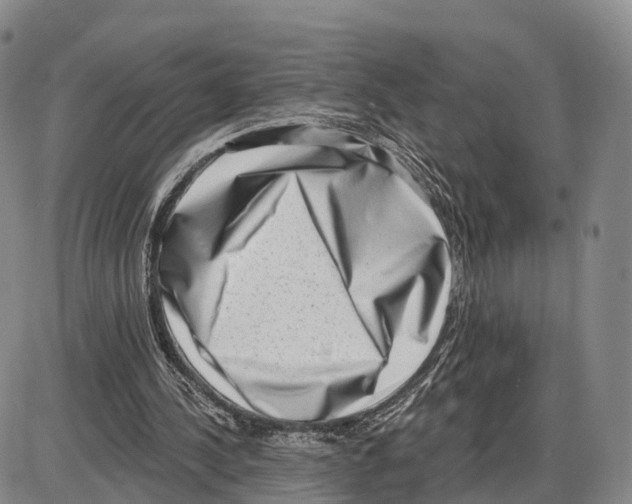 X0000085080244200704021444