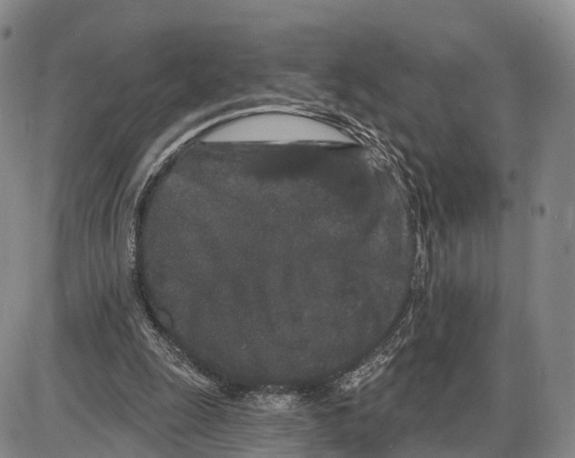 X0000085080247200704021444
