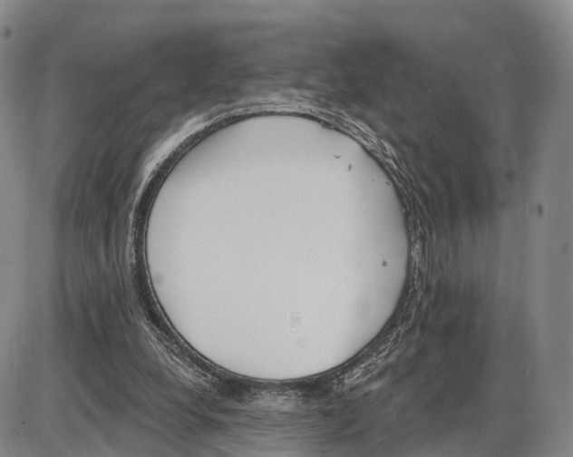 X0000085080248200704021444
