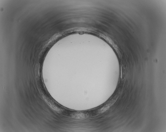 X0000085080253200704021444
