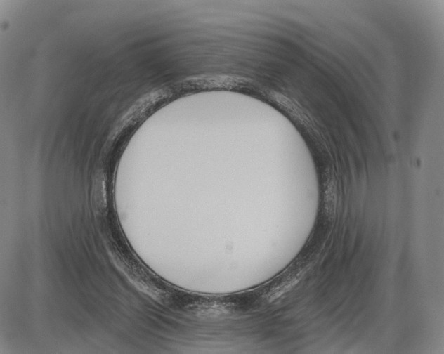X0000085080254200704021444