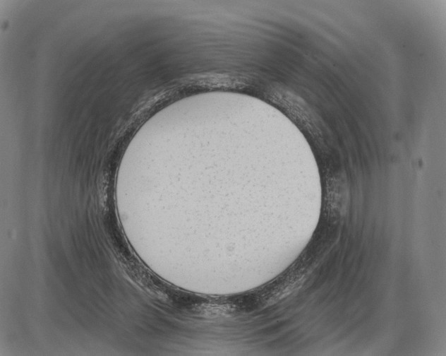 X0000085080255200704021444