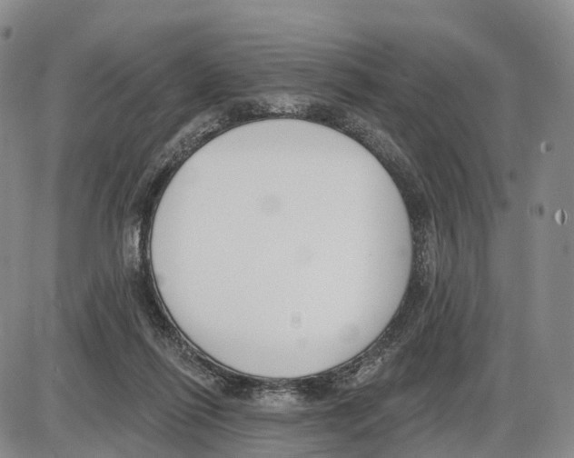 X0000085080262200704021444