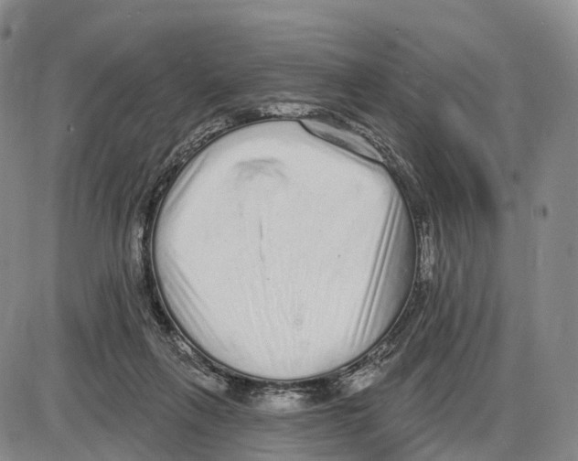 X0000085080263200704021444