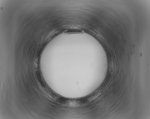 X0000085080264200704021444