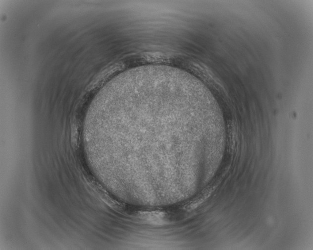 X0000085080266200704021444