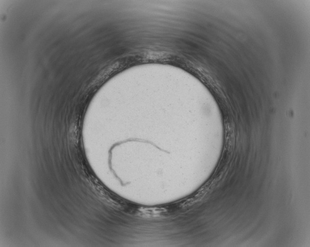 X0000085080269200704021444
