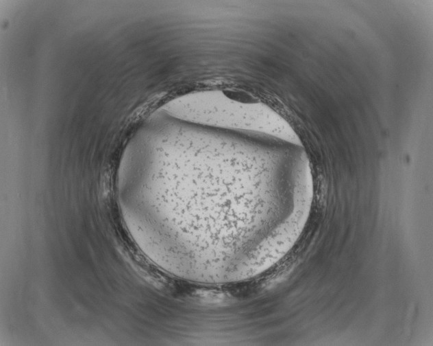 X0000085080272200704021444