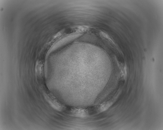 X0000085080276200704021444