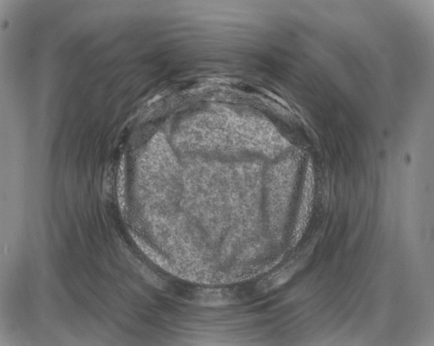X0000085080277200704021444