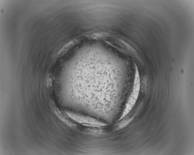 X0000085080284200704021445