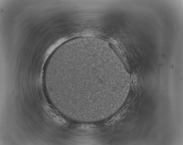 X0000085080292200704021444
