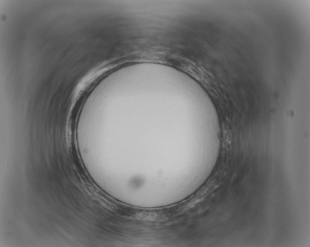 X0000085080294200704021444