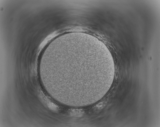 X0000085080296200704021444