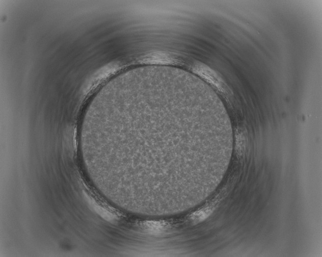 X0000085080302200704021444
