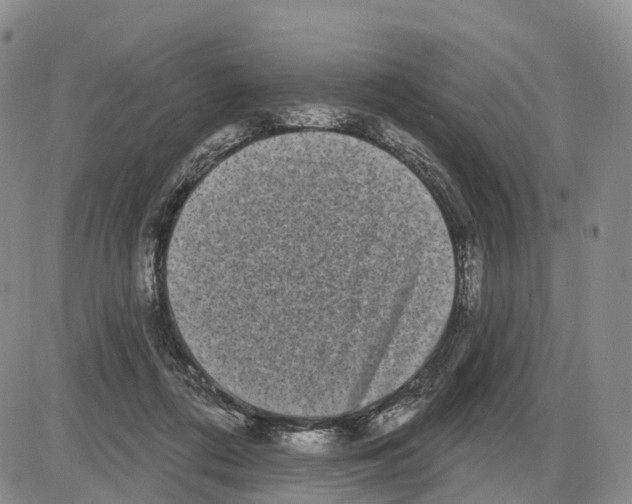 X0000085080312200704021443