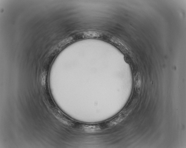 X0000085080315200704021443