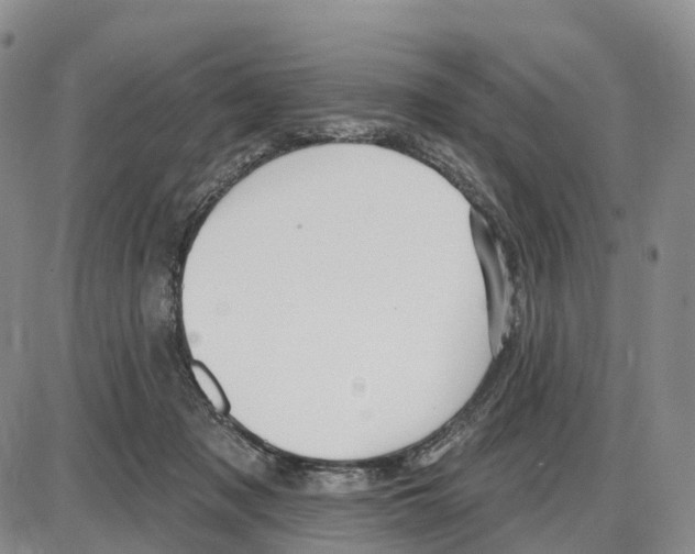 X0000085080317200704021443