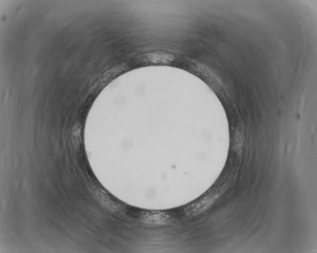 X0000085080321200704021443