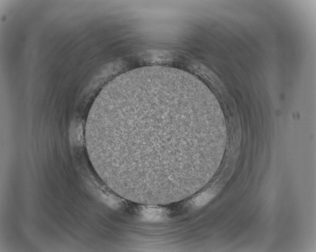 X0000085080336200704021443
