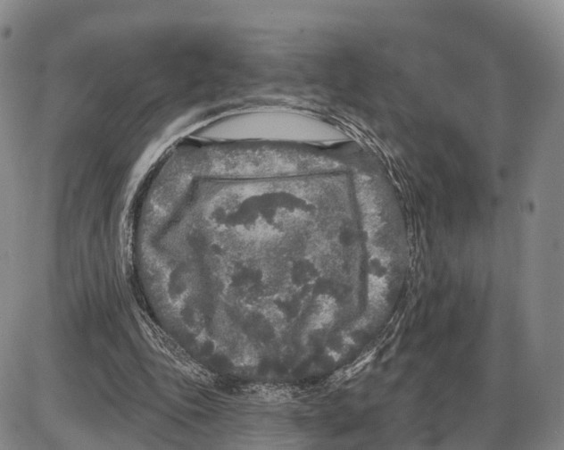 X0000085080343200704021442