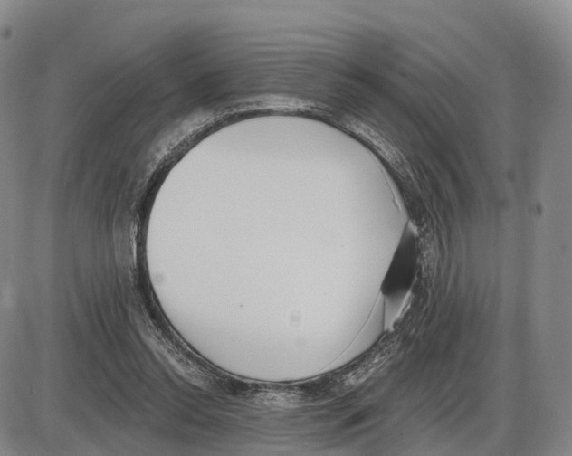X0000085080350200704021442