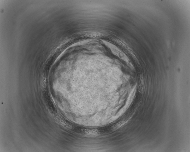 X0000085080355200704021443