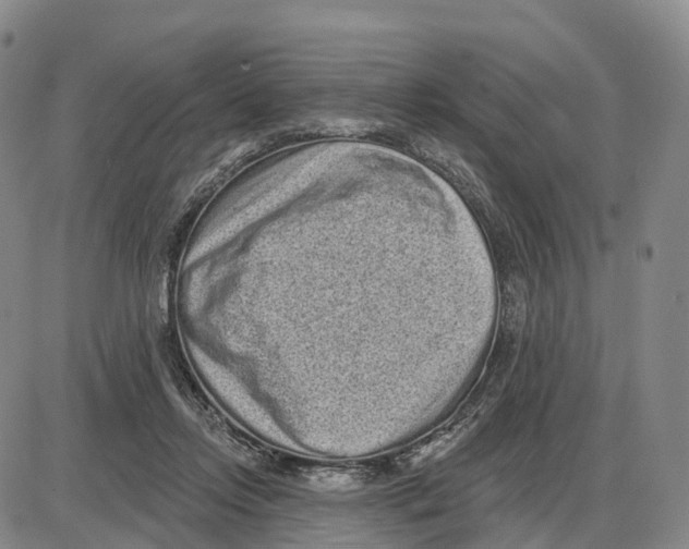 X0000085080358200704021443