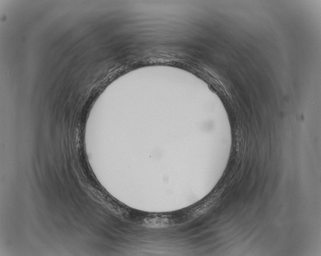X0000085080362200704021443