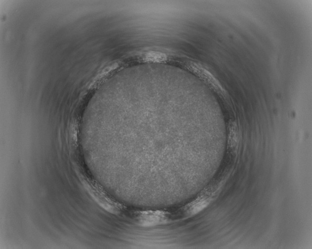 X0000085080363200704021443