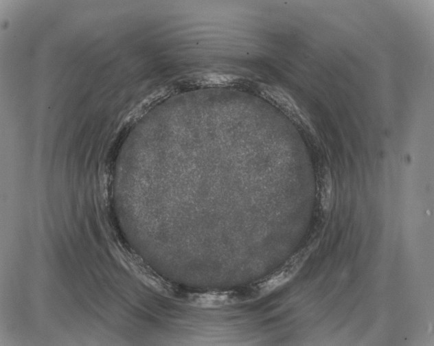 X0000085080366200704021443