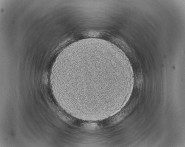 X0000085080374200704021443