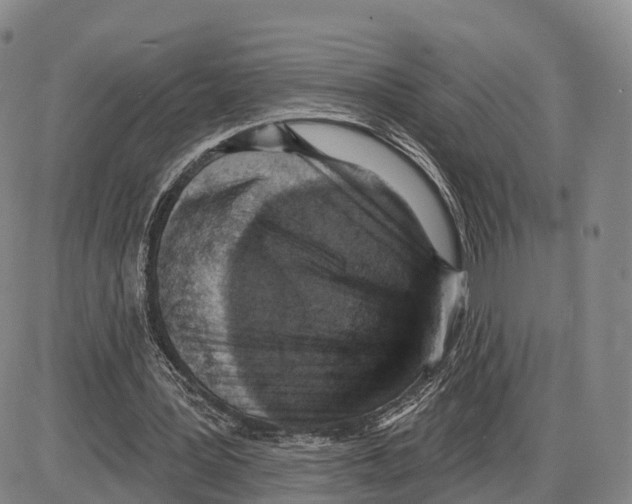 X0000085080387200704021442