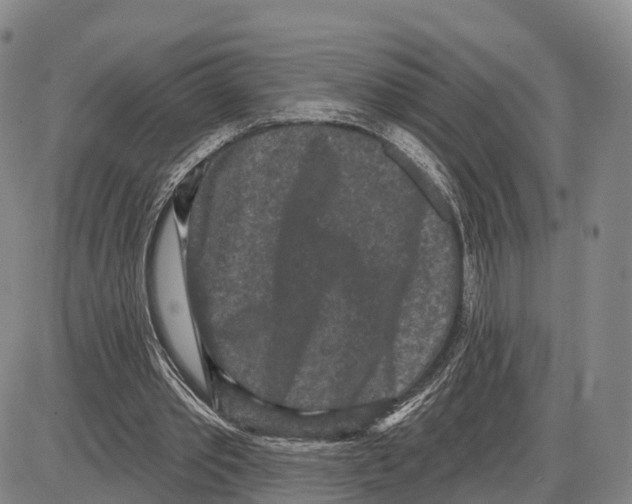 X0000085080389200704021442
