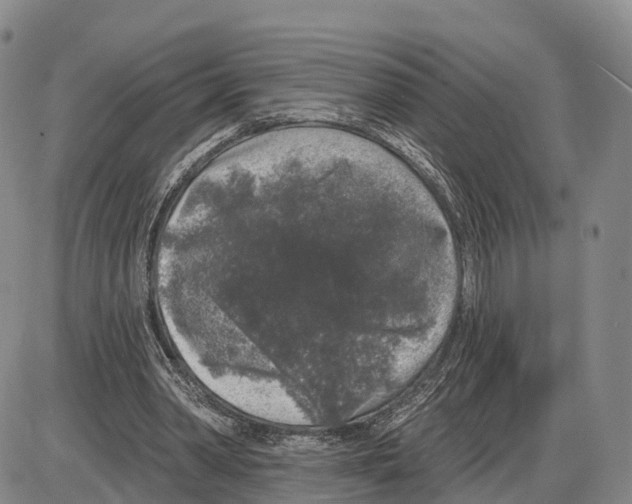 X0000085080390200704021442