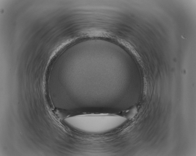 X0000085080391200704021442