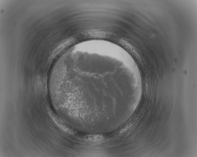 X0000085080398200704021442
