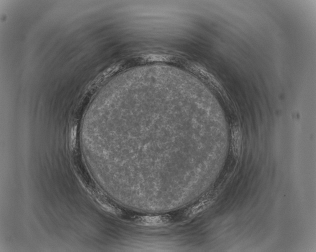 X0000085080406200704021442