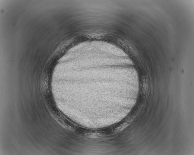 X0000085080408200704021442