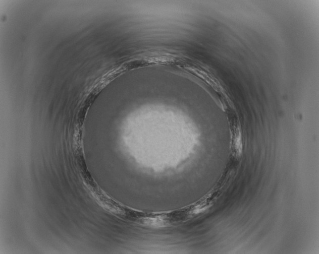X0000085080411200704021442