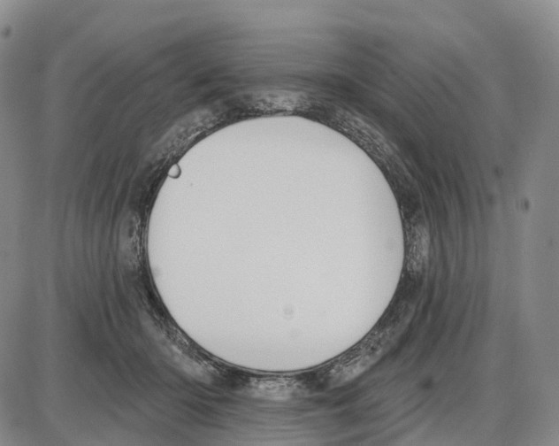 X0000085080414200704021442