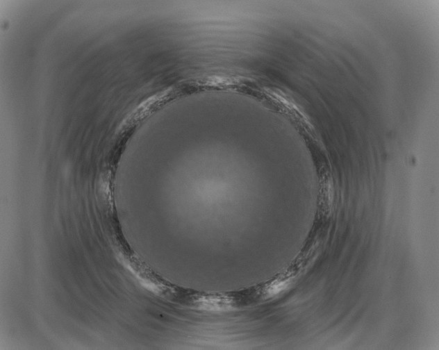 X0000085080415200704021442