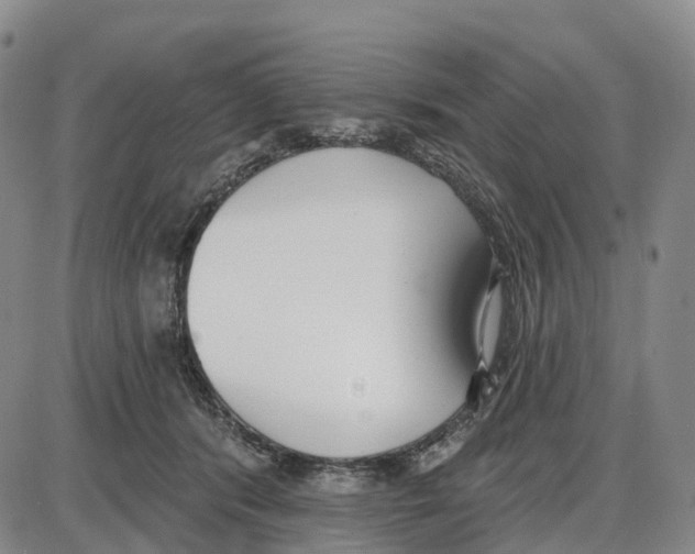 X0000085080416200704021442