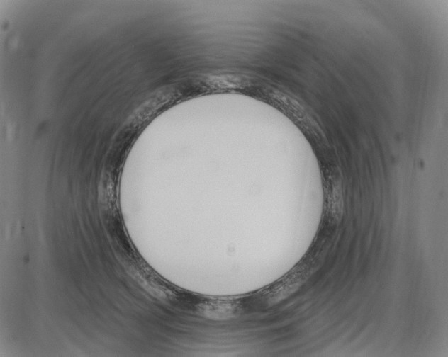 X0000085080418200704021442