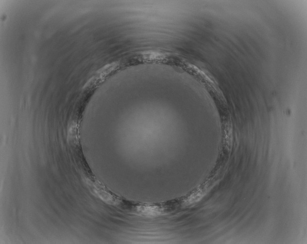 X0000085080419200704021442